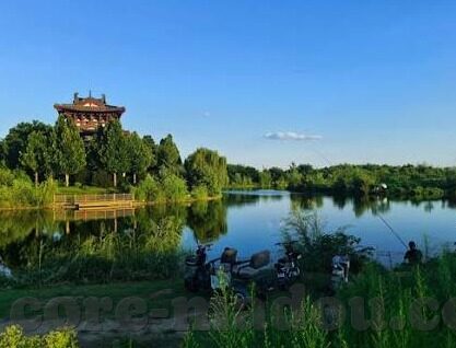 97成人视频-成人内容对社会的潜在影响，理性审视与责任引导
