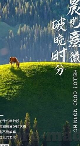 国精品无码一区二区三区在线-探索网络文化的多元视角，国产品质内容的欣赏与理解