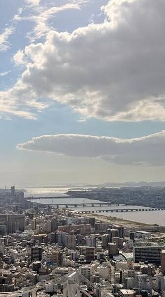 寂寞人妻-寂寞人妻，在婚姻缝隙中寻找光亮的微妙平衡