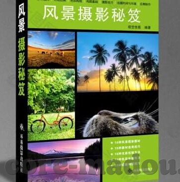 麻豆91精品视频-揭秘麻豆91精品视频，网络文化在数字时代的流转与反思