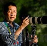 麻豆传媒在线网站-麻豆传媒—网络视频内容的多元化视角与数字媒体的现状反思