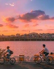 麻豆情侣啪啪视频-青春的曙光，麻豆情旅的温暖画卷