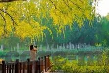 sihu影院麻豆av-爱与艺术的高密度空间，SIHU影院的观影体验