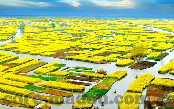 我的好妈妈1中文字幕-母爱如光，我的好妈妈1中文字幕